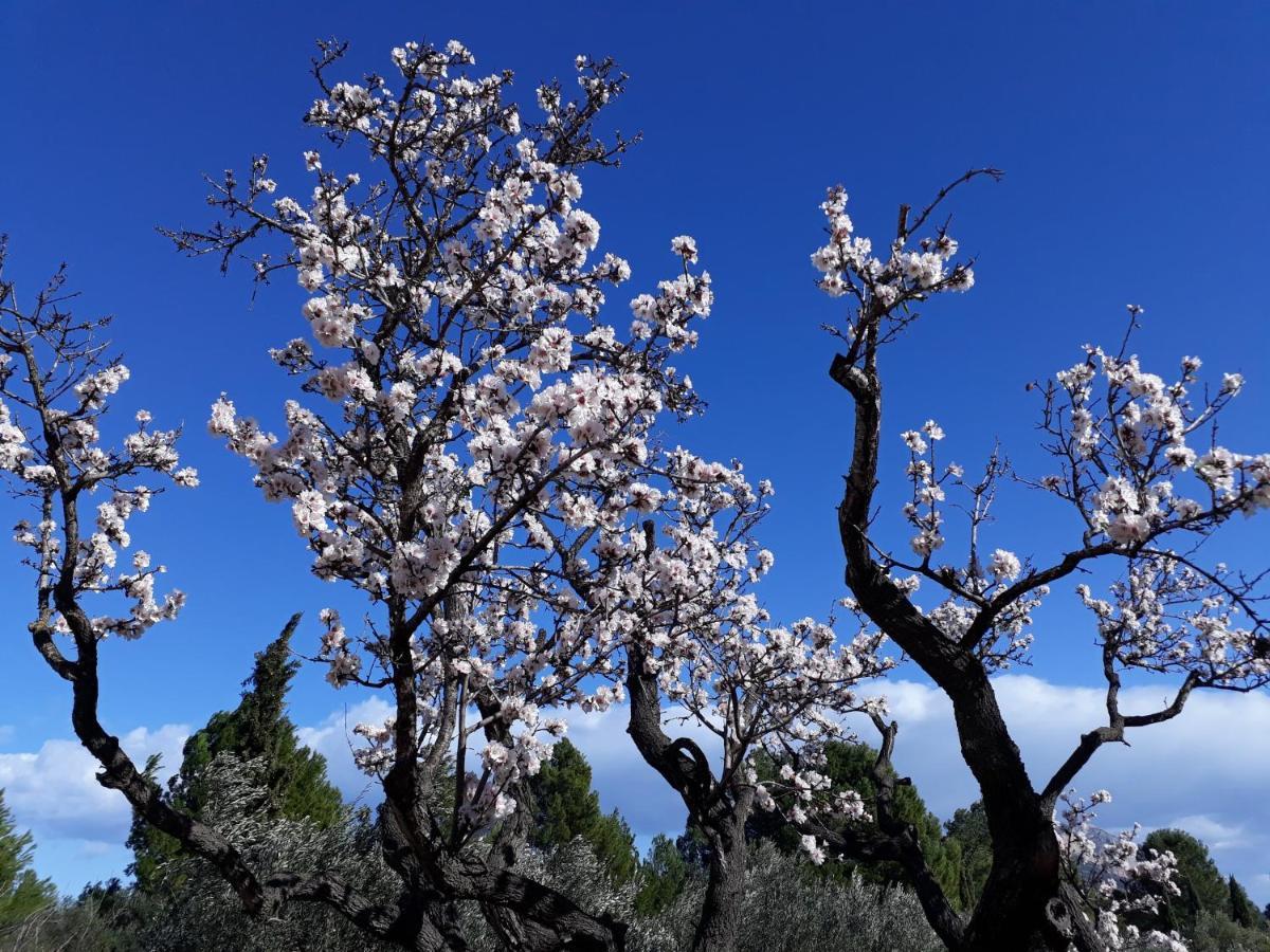 Appartamento Casa Pinza Dénia Esterno foto